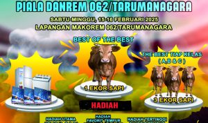 WhatsApp Image 2025-02-12 at 11.22.28