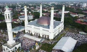 Mujahidin Ptk